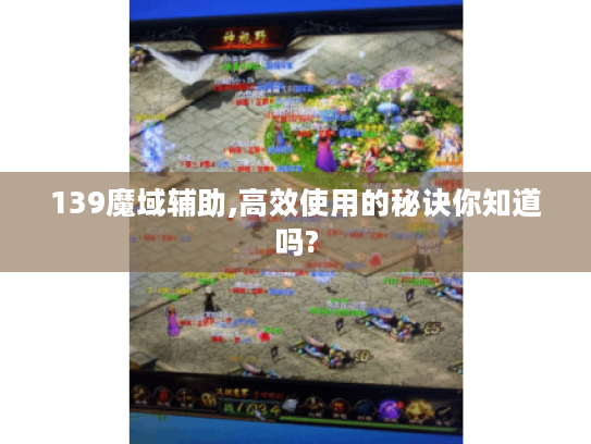 139魔域辅助,高效使用的秘诀你知道吗? 139魔域辅助,高效使用的秘诀你知道吗?
