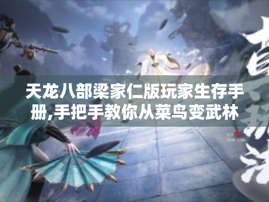 天龙八部梁家仁版玩家生存手册,手把手教你从菜鸟变武林高手