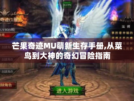 芒果奇迹MU萌新生存手册,从菜鸟到大神的奇幻冒险指南 芒果奇迹MU萌新生存手册,从菜鸟到大神的奇幻冒险指南