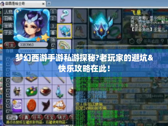 梦幻西游手游私游探秘?老玩家的避坑&快乐攻略在此! 梦幻西游手游私游探秘?老玩家的避坑&快乐攻略在此!
