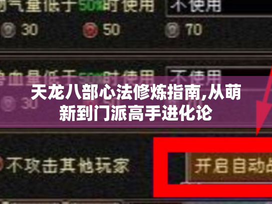 天龙八部心法修炼指南,从萌新到门派高手进化论 天龙八部心法修炼指南,从萌新到门派高手进化论