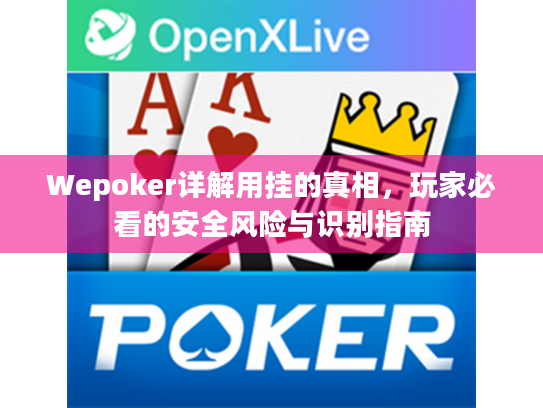 Wepoker详解用挂的真相，玩家必看的安全风险与识别指南