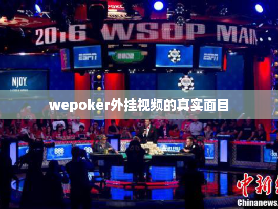 wepoker外挂视频的真实面目