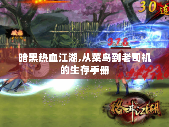 暗黑热血江湖,从菜鸟到老司机的生存手册 暗黑热血江湖,从菜鸟到老司机的生存手册