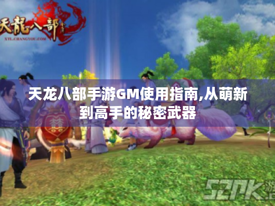 天龙八部手游GM使用指南,从萌新到高手的秘密武器
