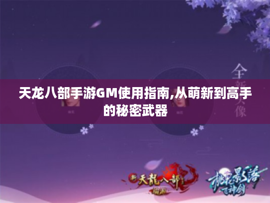 天龙八部手游GM使用指南,从萌新到高手的秘密武器