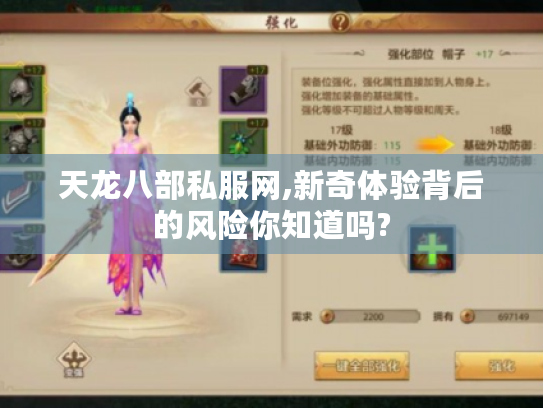 天龙八部私服网,新奇体验背后的风险你知道吗? 天龙八部私服网,新奇体验背后的风险你知道吗?