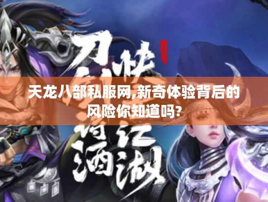 天龙八部私服网,新奇体验背后的风险你知道吗? 天龙八部私服网,新奇体验背后的风险你知道吗?