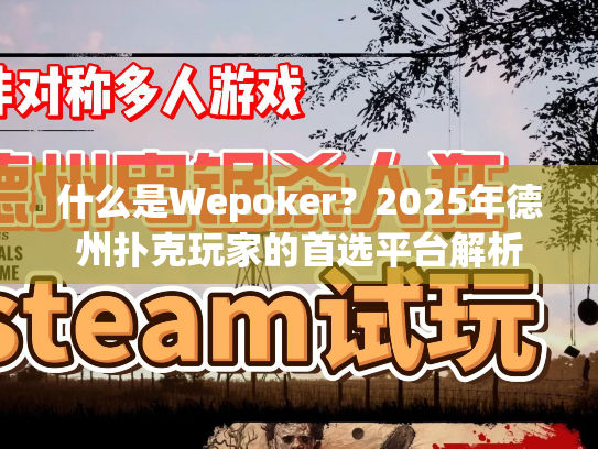 什么是Wepoker？2025年德州扑克玩家的首选平台解析