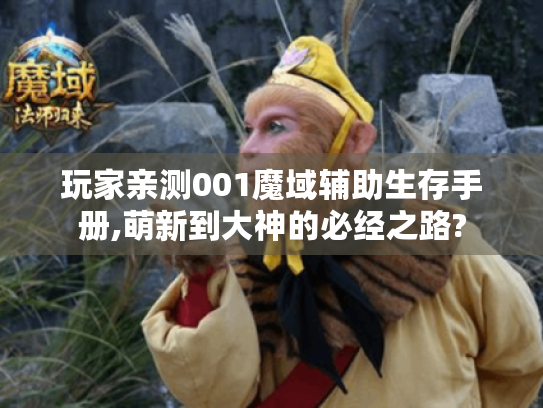 玩家亲测001魔域辅助生存手册,萌新到大神的必经之路? 玩家亲测001魔域辅助生存手册,萌新到大神的必经之路?