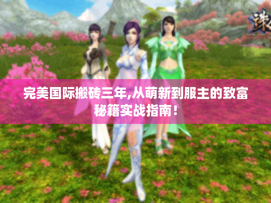 完美国际搬砖三年,从萌新到服主的致富秘籍实战指南! 完美国际搬砖三年,从萌新到服主的致富秘籍实战指南!