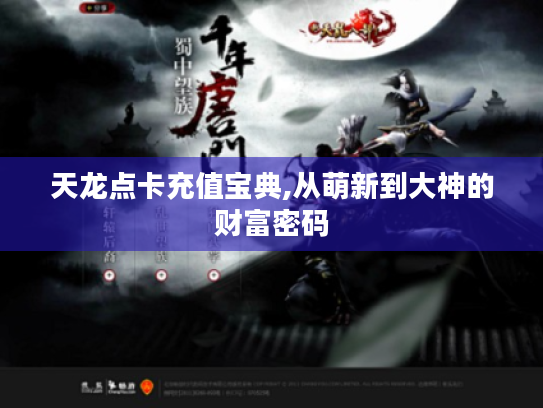 天龙点卡充值宝典,从萌新到大神的财富密码