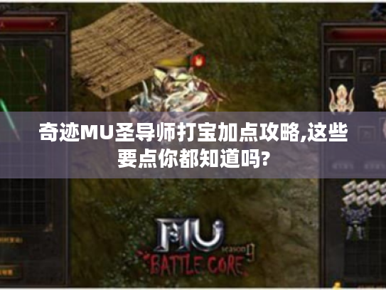 奇迹MU圣导师打宝加点攻略,这些要点你都知道吗? 奇迹MU圣导师打宝加点攻略,这些要点你都知道吗?