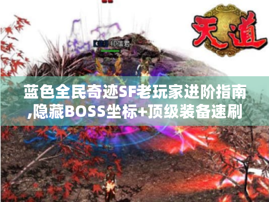 蓝色全民奇迹SF老玩家进阶指南,隐藏BOSS坐标+顶级装备速刷手册 蓝色全民奇迹SF老玩家进阶指南,隐藏BOSS坐标+顶级装备速刷手册