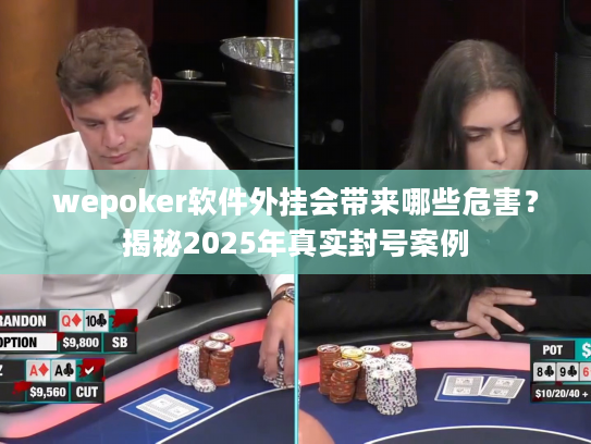 wepoker软件外挂会带来哪些危害？揭秘2025年真实封号案例