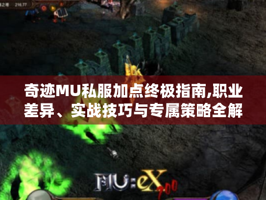 奇迹MU私服加点终极指南,职业差异、实战技巧与专属策略全解 奇迹MU私服加点终极指南,职业差异、实战技巧与专属策略全解
