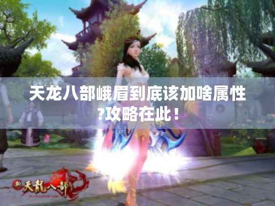 天龙八部峨眉到底该加啥属性?攻略在此! 天龙八部峨眉到底该加啥属性?攻略在此!