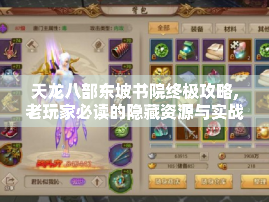 天龙八部东坡书院终极攻略,老玩家必读的隐藏资源与实战进阶手册