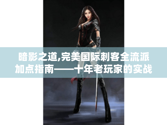 暗影之道,完美国际刺客全流派加点指南——十年老玩家的实战心得 暗影之道,完美国际刺客全流派加点指南——十年老玩家的实战心得