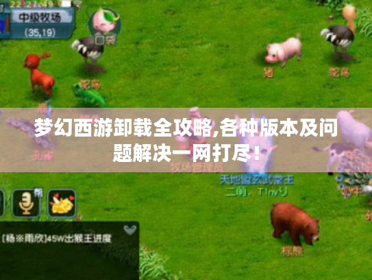 梦幻西游卸载全攻略,各种版本及问题解决一网打尽! 梦幻西游卸载全攻略,各种版本及问题解决一网打尽!