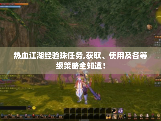 热血江湖经验珠任务,获取、使用及各等级策略全知道! 热血江湖经验珠任务,获取、使用及各等级策略全知道!
