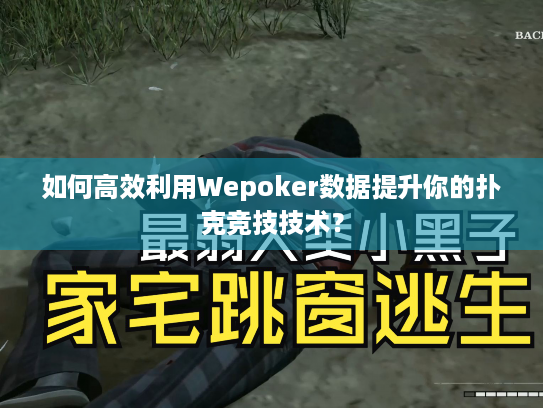 如何高效利用Wepoker数据提升你的扑克竞技技术？