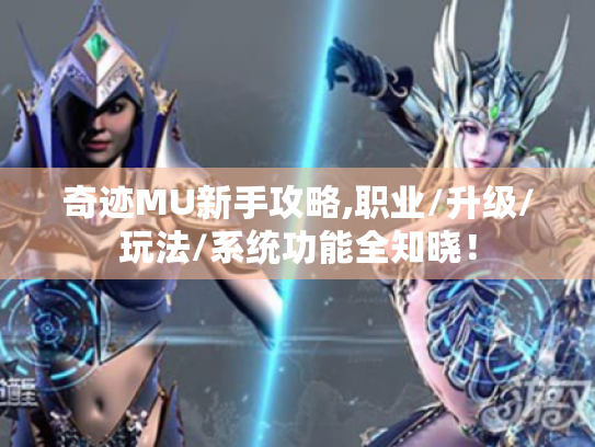 奇迹MU新手攻略,职业/升级/玩法/系统功能全知晓! 奇迹MU新手攻略,职业/升级/玩法/系统功能全知晓!