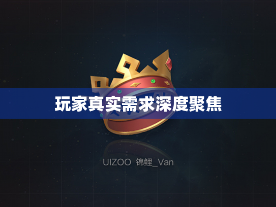 玩家真实需求深度聚焦