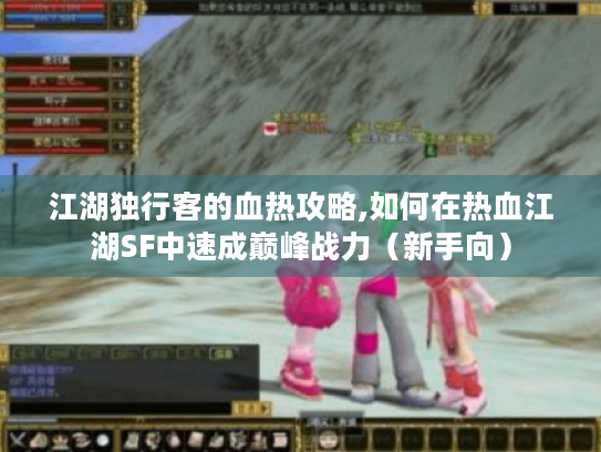 江湖独行客的血热攻略,如何在热血江湖SF中速成巅峰战力(新手向) 江湖独行客的血热攻略,如何在热血江湖SF中速成巅峰战力(新手向)