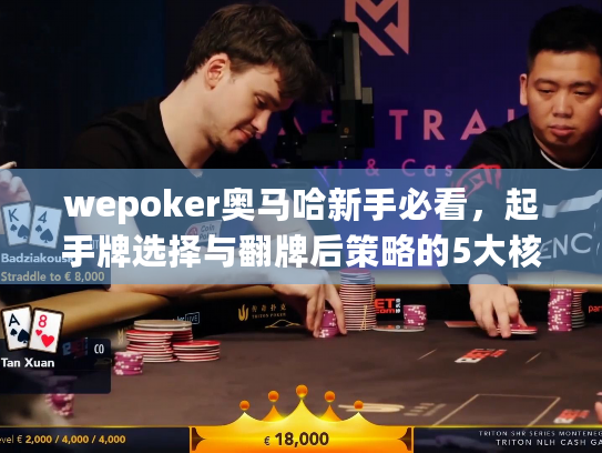 wepoker奥马哈新手必看，起手牌选择与翻牌后策略的5大核心技巧