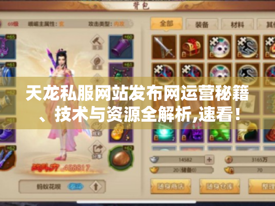 天龙私服网站发布网运营秘籍、技术与资源全解析,速看！