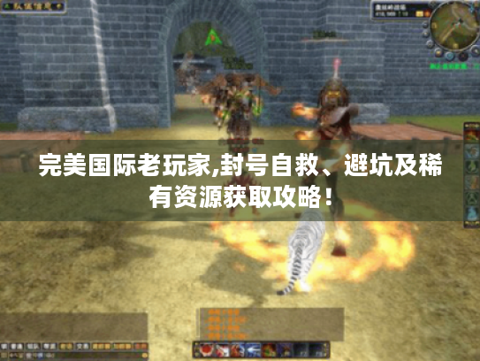 完美国际老玩家,封号自救、避坑及稀有资源获取攻略! 完美国际老玩家,封号自救、避坑及稀有资源获取攻略!