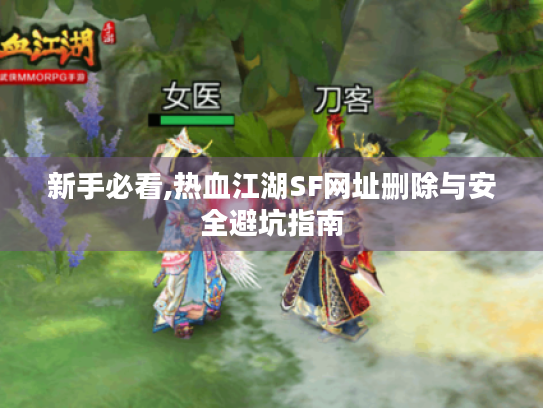 新手必看,热血江湖SF网址删除与安全避坑指南 新手必看,热血江湖SF网址删除与安全避坑指南