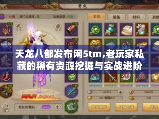 天龙八部发布网5tm,老玩家私藏的稀有资源挖掘与实战进阶指南