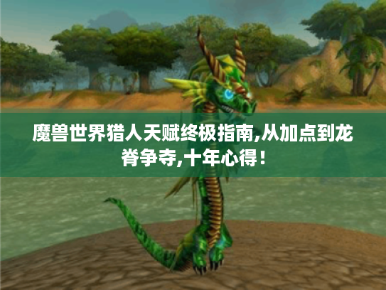 魔兽世界猎人天赋终极指南,从加点到龙脊争夺,十年心得! 魔兽世界猎人天赋终极指南,从加点到龙脊争夺,十年心得!