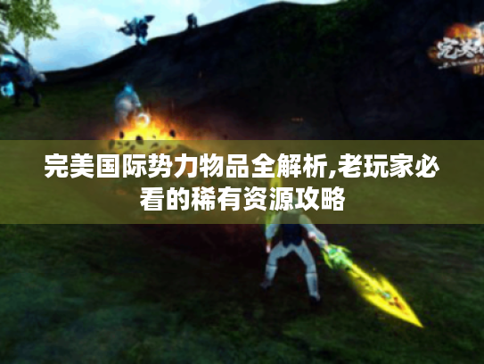 完美国际势力物品全解析,老玩家必看的稀有资源攻略 完美国际势力物品全解析,老玩家必看的稀有资源攻略
