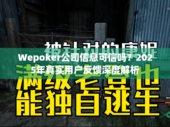 Wepoker公司信息可信吗？2025年真实用户反馈深度解析