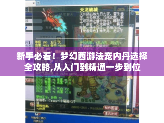 新手必看!梦幻西游法宠内丹选择全攻略,从入门到精通一步到位 新手必看!梦幻西游法宠内丹选择全攻略,从入门到精通一步到位
