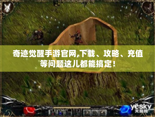 奇迹觉醒手游官网,下载、攻略、充值等问题这儿都能搞定! 奇迹觉醒手游官网,下载、攻略、充值等问题这儿都能搞定!