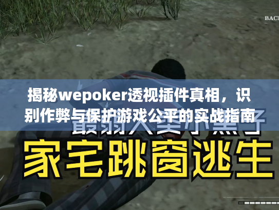 揭秘wepoker透视插件真相,识别作弊与保护游戏公平的实战指南 揭秘wepoker透视插件真相,识别作弊与保护游戏公平的实战指南