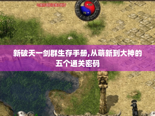 新破天一剑群生存手册,从萌新到大神的五个通关密码 新破天一剑群生存手册,从萌新到大神的五个通关密码