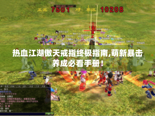 热血江湖傲天戒指终极指南,萌新暴击养成必看手册！