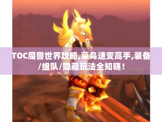 TOC魔兽世界攻略,菜鸟速变高手,装备/组队/隐藏玩法全知晓! TOC魔兽世界攻略,菜鸟速变高手,装备/组队/隐藏玩法全知晓!