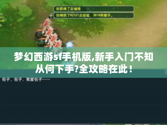 梦幻西游sf手机版,新手入门不知从何下手?全攻略在此! 梦幻西游sf手机版,新手入门不知从何下手?全攻略在此!
