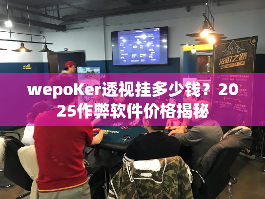 wepoKer透视挂多少钱？2025作弊软件价格揭秘