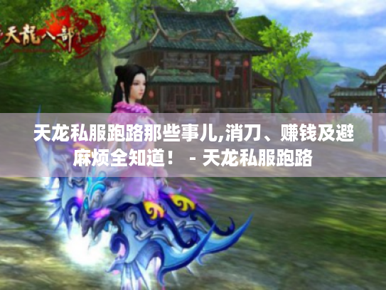 天龙私服跑路那些事儿,消刀、赚钱及避麻烦全知道! - 天龙私服跑路 天龙私服跑路那些事儿,消刀、赚钱及避麻烦全知道! - 天龙私服跑路