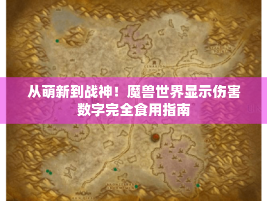 从萌新到战神！魔兽世界显示伤害数字完全食用指南