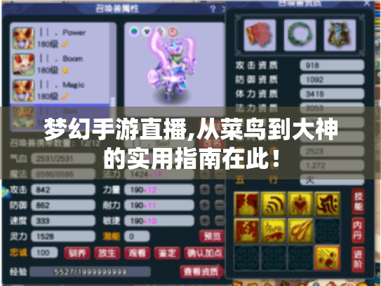 梦幻手游直播,从菜鸟到大神的实用指南在此! 梦幻手游直播,从菜鸟到大神的实用指南在此!