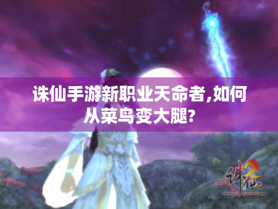 诛仙手游新职业天命者,如何从菜鸟变大腿? 诛仙手游新职业天命者,如何从菜鸟变大腿?