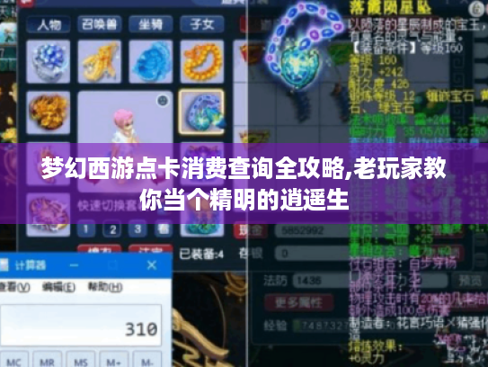 梦幻西游点卡消费查询全攻略,老玩家教你当个精明的逍遥生 梦幻西游点卡消费查询全攻略,老玩家教你当个精明的逍遥生